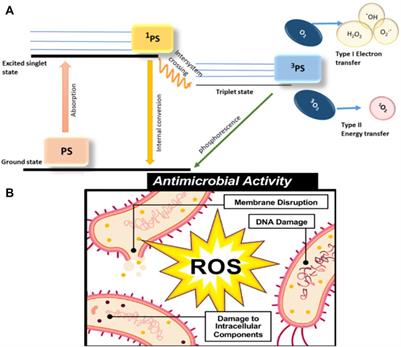 Upconversion nanoparticles and its based photodynamic therapy for antibacterial applications: A state-of-the-art review